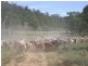 Yellowbank Road, Roma QLD 4455
