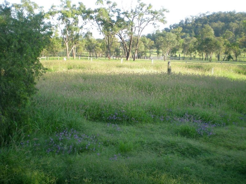Yellowbank Road, Roma QLD 4455