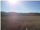 Yellowbank Road, Roma QLD 4455