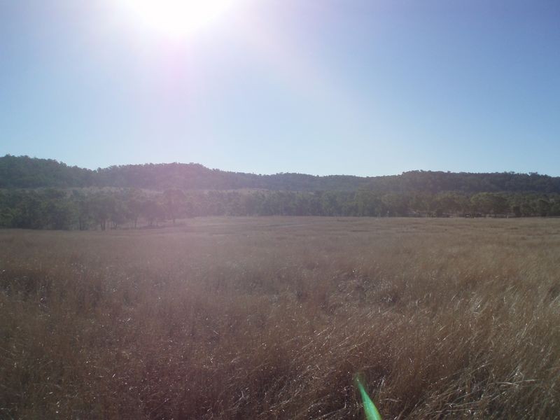 Yellowbank Road, Roma QLD 4455