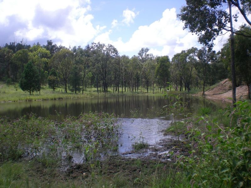 Yellowbank Road, Roma QLD 4455