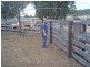 Yellowbank Road, Roma QLD 4455