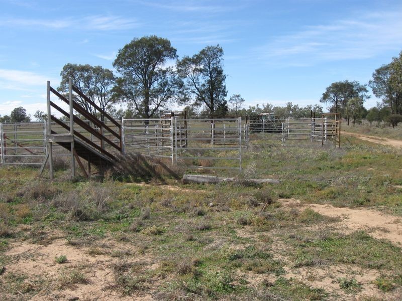 ‘Hillcrest Northern Road, Wallumbilla QLD 4428