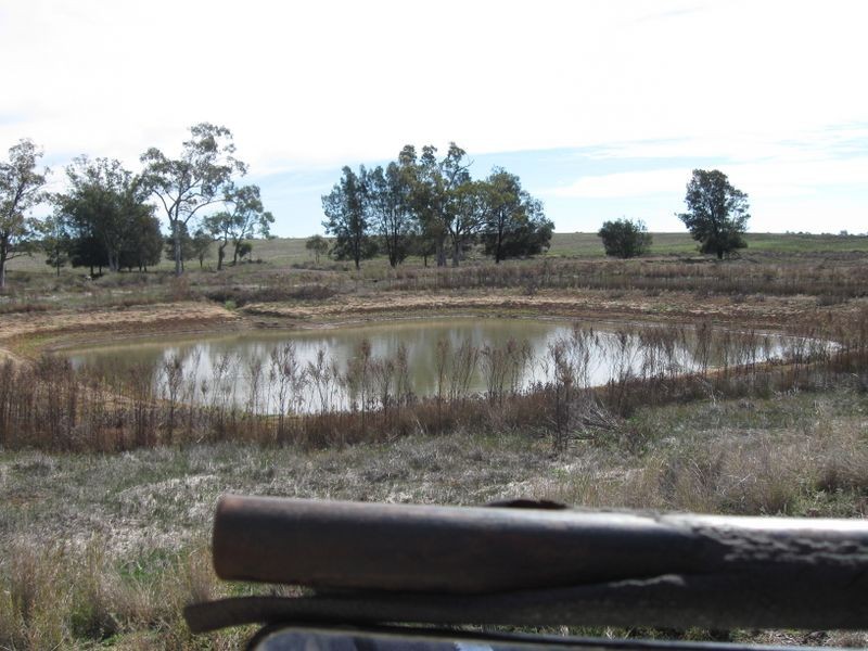 ‘Hillcrest Northern Road, Wallumbilla QLD 4428