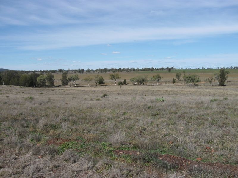 ‘Hillcrest Northern Road, Wallumbilla QLD 4428
