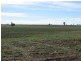 ‘Hillcrest Northern Road, Wallumbilla QLD 4428