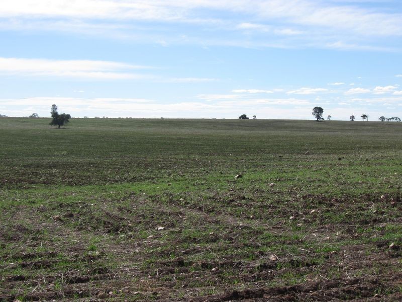 ‘Hillcrest Northern Road, Wallumbilla QLD 4428