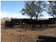 ‘Hillcrest Northern Road, Wallumbilla QLD 4428