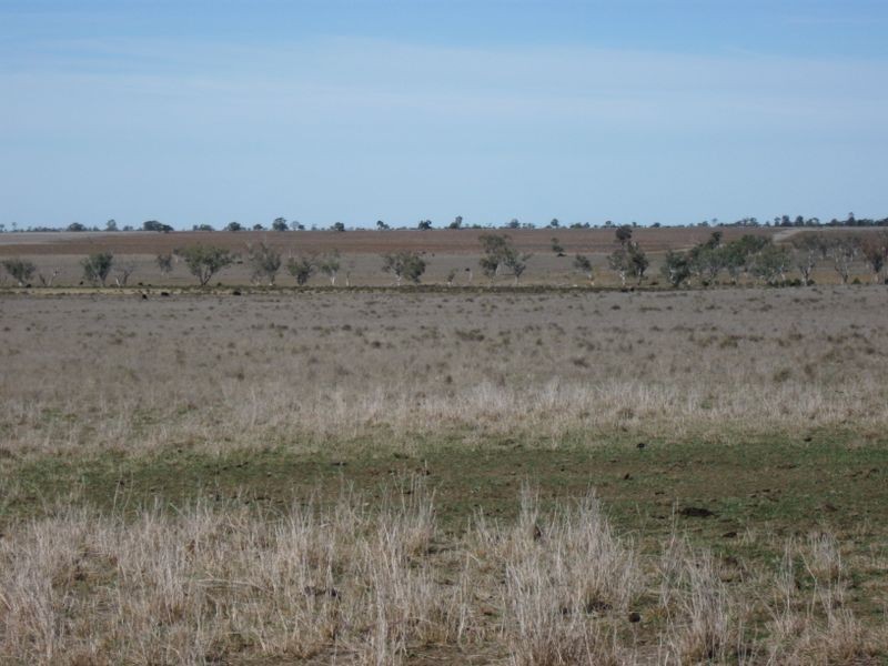 ‘Hillcrest Northern Road, Wallumbilla QLD 4428