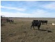 ‘Hillcrest Northern Road, Wallumbilla QLD 4428