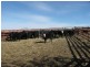 ‘Hillcrest Northern Road, Wallumbilla QLD 4428