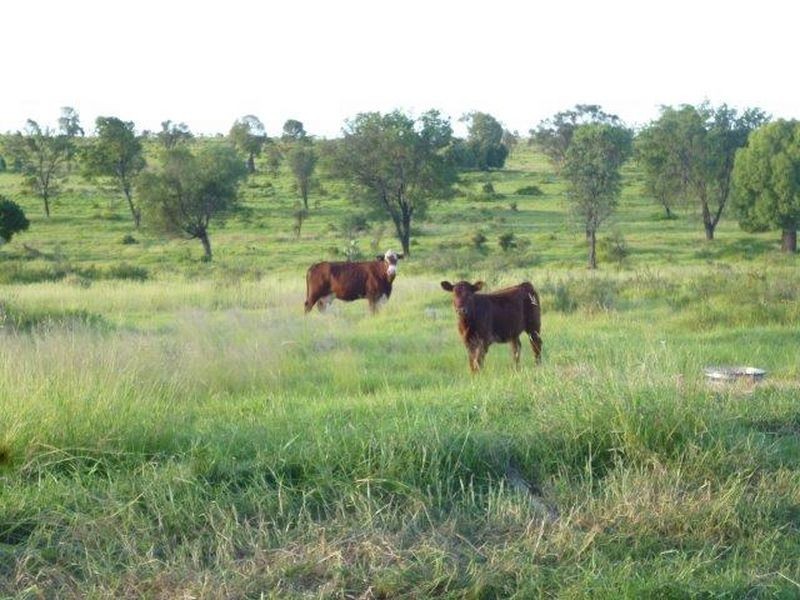 1 Warrego Hwy, Mitchell QLD 4465