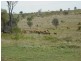 1 Warrego Hwy, Mitchell QLD 4465