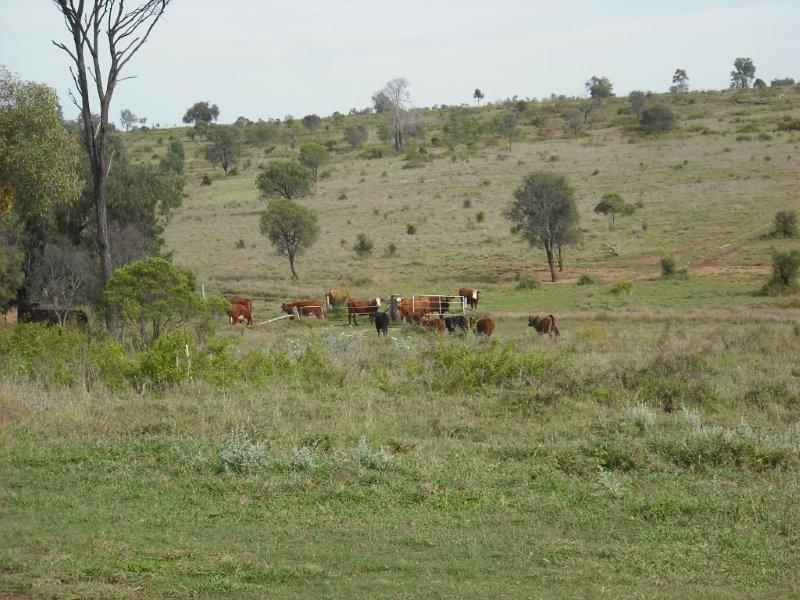 1 Warrego Hwy, Mitchell QLD 4465