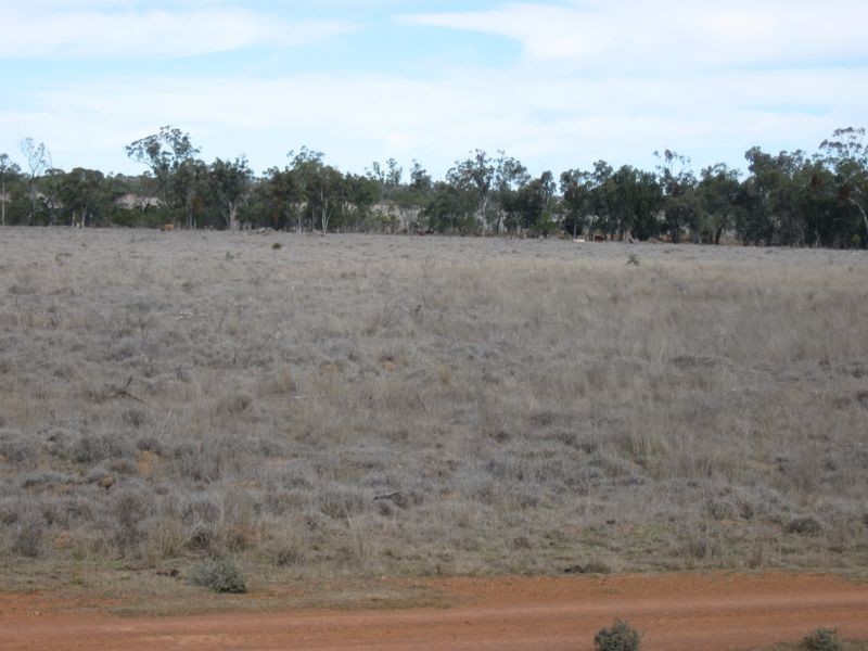 Lot 5, Mitchell QLD 4465