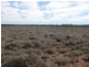 Lot 5, Mitchell QLD 4465