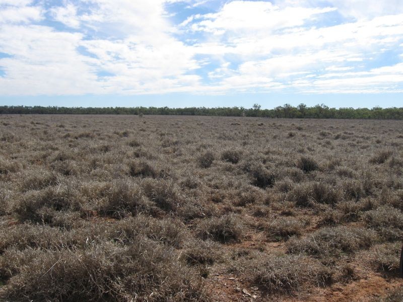 Lot 5, Mitchell QLD 4465