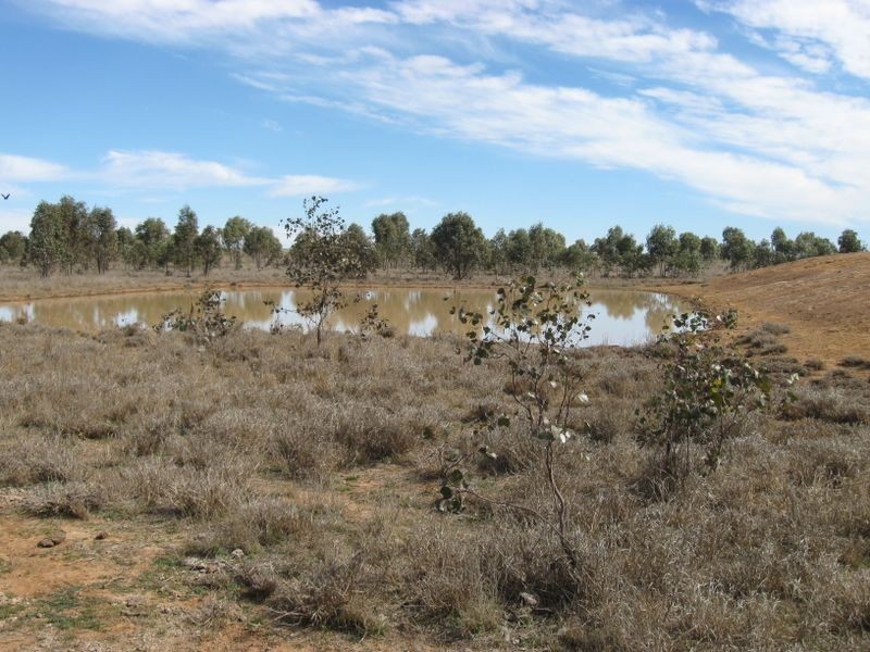 Lot 5, Mitchell QLD 4465