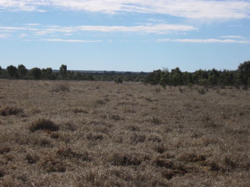 Lot 5, Mitchell QLD 4465