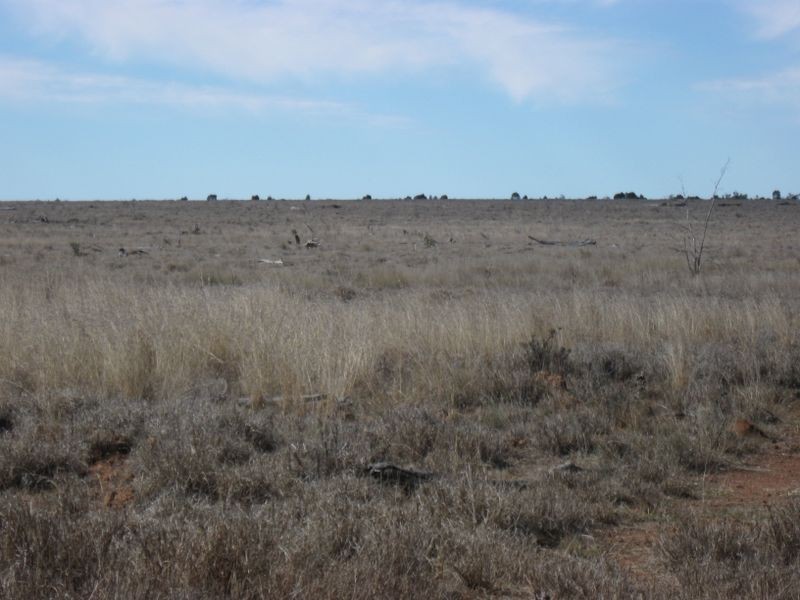 Lot 5, Mitchell QLD 4465