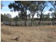 Lot 5, Mitchell QLD 4465