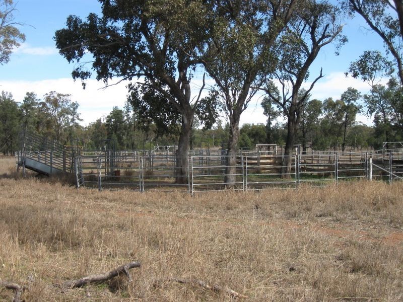 Lot 5, Mitchell QLD 4465