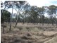 Lot 5, Mitchell QLD 4465