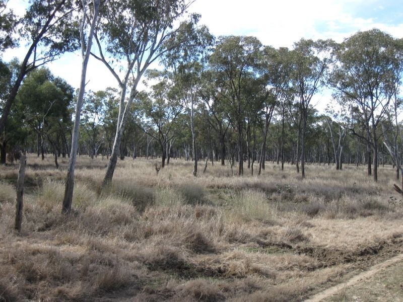 Lot 5, Mitchell QLD 4465