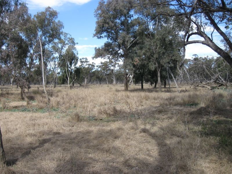 Lot 5, Mitchell QLD 4465