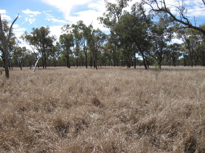 Lot 5, Mitchell QLD 4465