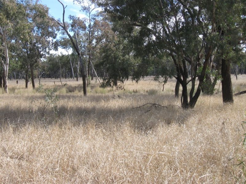 Lot 5, Mitchell QLD 4465