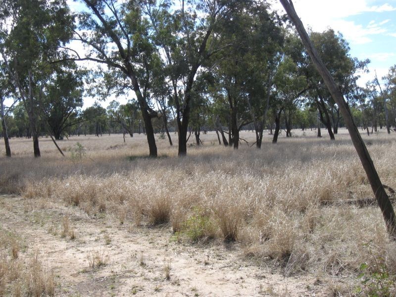 Lot 5, Mitchell QLD 4465