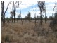 Lot 5, Mitchell QLD 4465