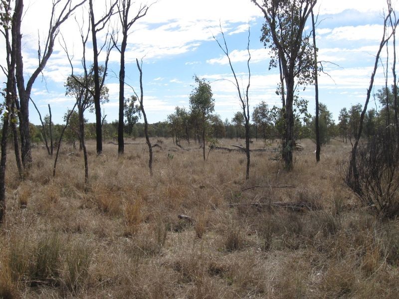 Lot 5, Mitchell QLD 4465