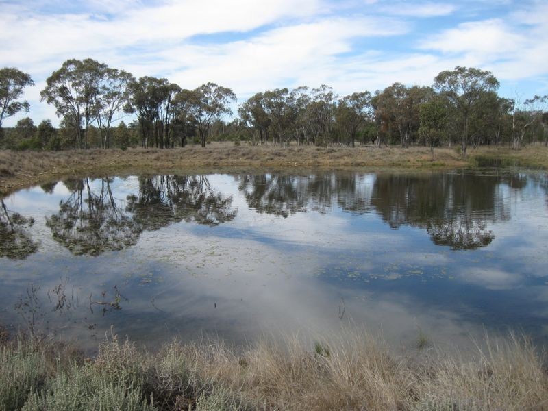 Lot 5, Mitchell QLD 4465