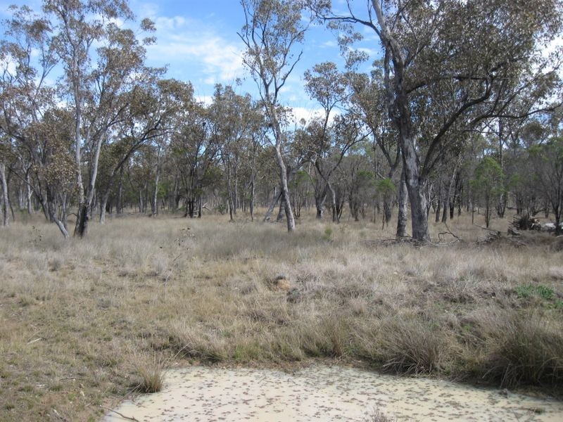 Lot 5, Mitchell QLD 4465
