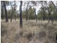 Lot 5, Mitchell QLD 4465