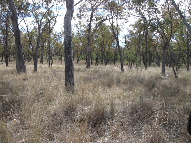 Lot 5, Mitchell QLD 4465