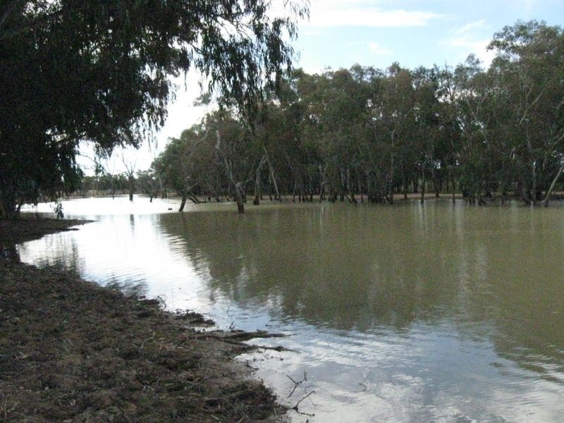 Lot 5, Mitchell QLD 4465
