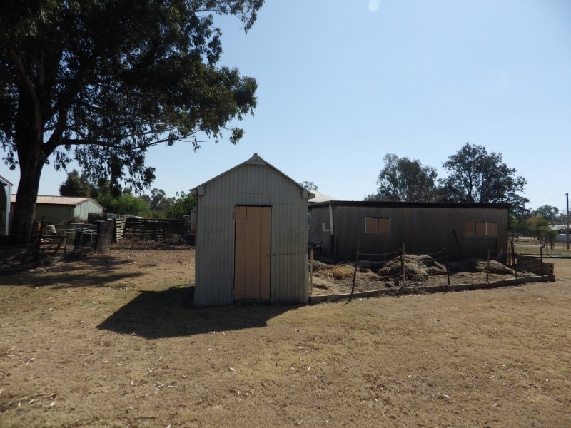 52 William Street, Surat QLD 4417