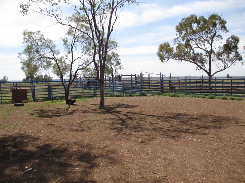 0 Silver Spring Road, Surat QLD 4417