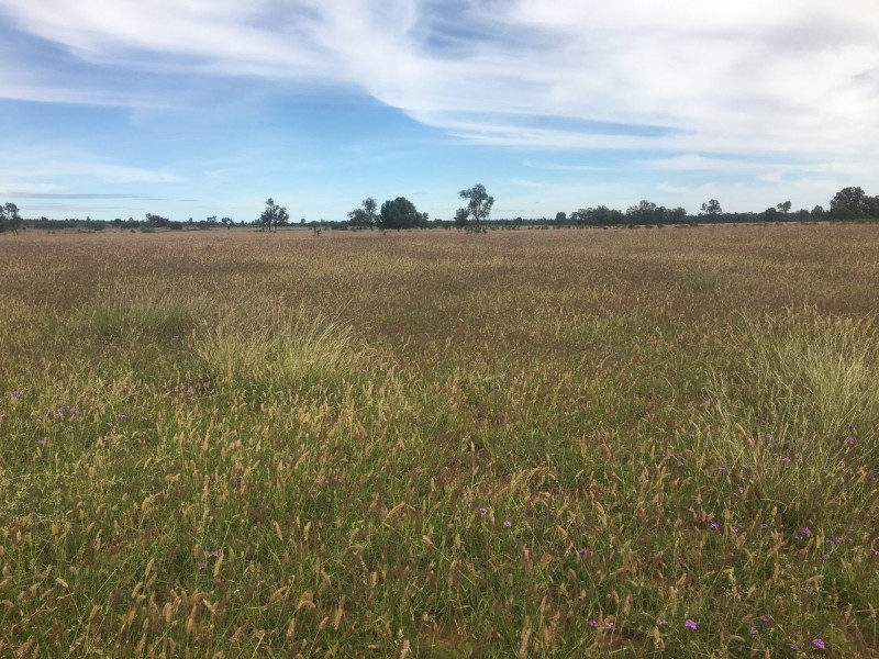 0 Silver Spring Road, Surat QLD 4417