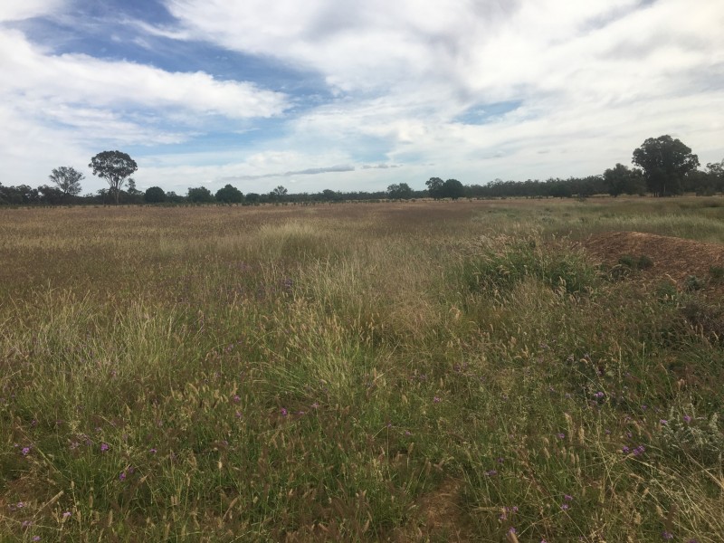 0 Silver Spring Road, Surat QLD 4417