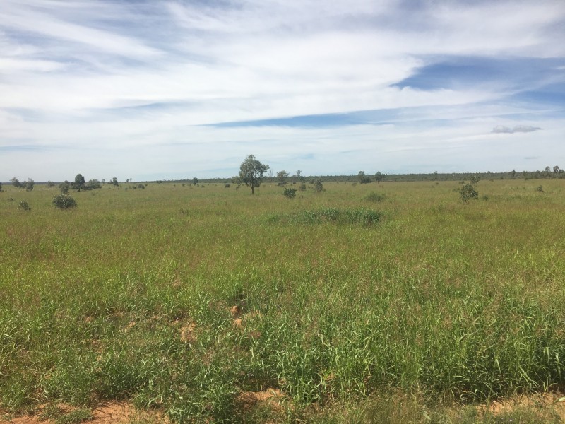 0 Silver Spring Road, Surat QLD 4417