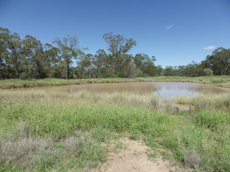 719 Raslie Road, Wallumbilla QLD 4428