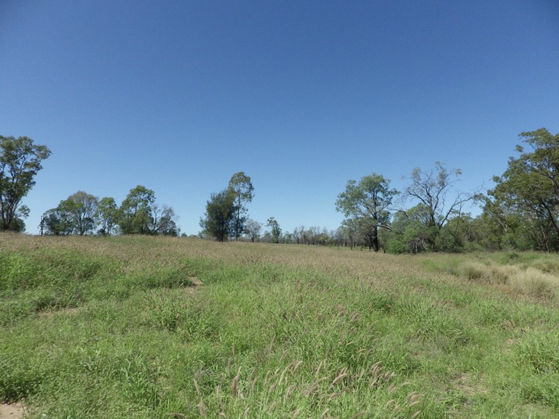 719 Raslie Road, Wallumbilla QLD 4428