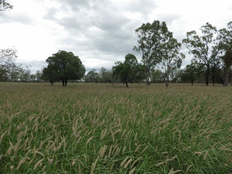 0 Rayners Road, Hodgson QLD 4455