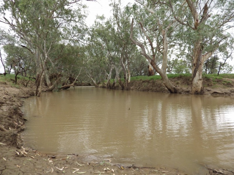 0 Rayners Road, Hodgson QLD 4455