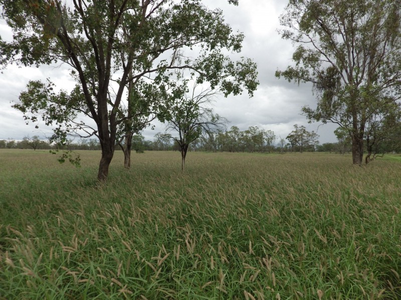 0 Rayners Road, Hodgson QLD 4455