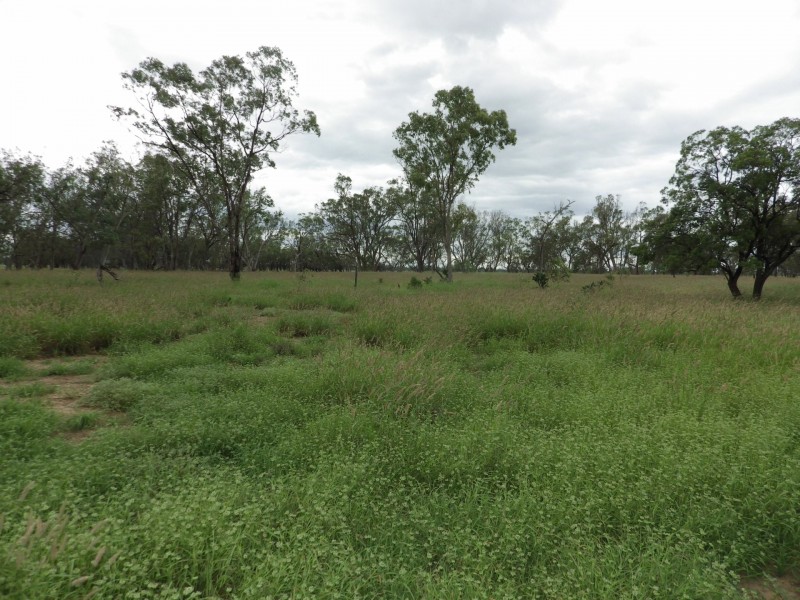 0 Rayners Road, Hodgson QLD 4455